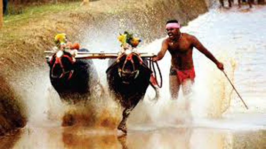 kambala9 oct 18